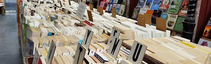 Book a demo illustration